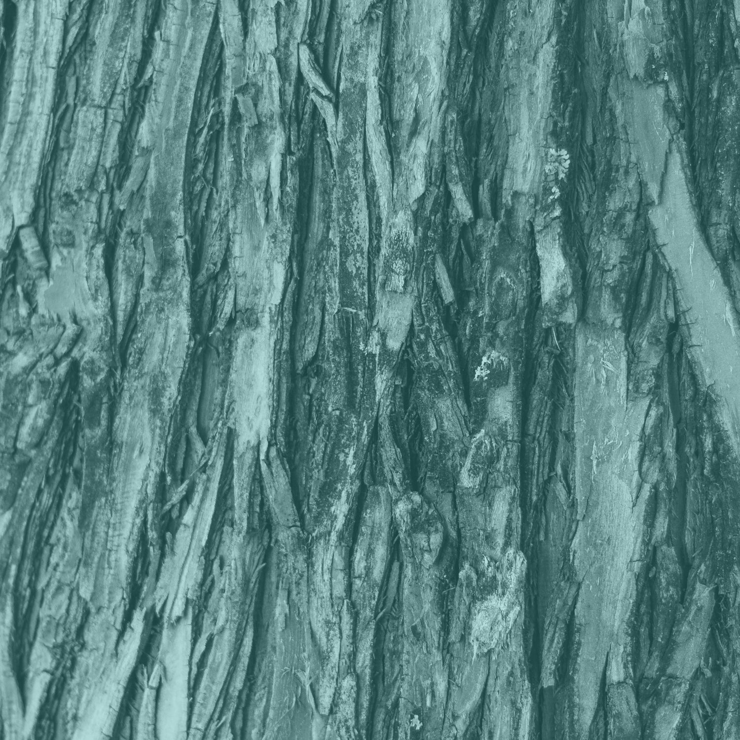 Matrixyl 3000™ - Wrinkles | Palmitoyl Tripeptide-1 (and) Palmitoyl Tetrapeptide-7