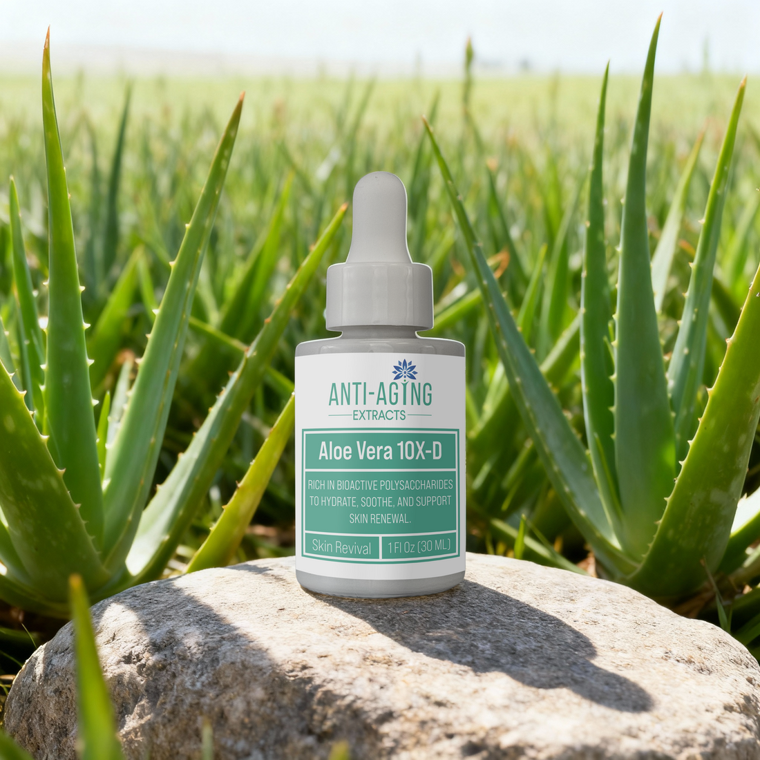 Aloe Vera 10XD Extract – Pure, Concentrated Aloe for Skin &amp; Hair Care | Naturally Derived, Cosmetic Ingredient, Hydrating &amp; Soothing