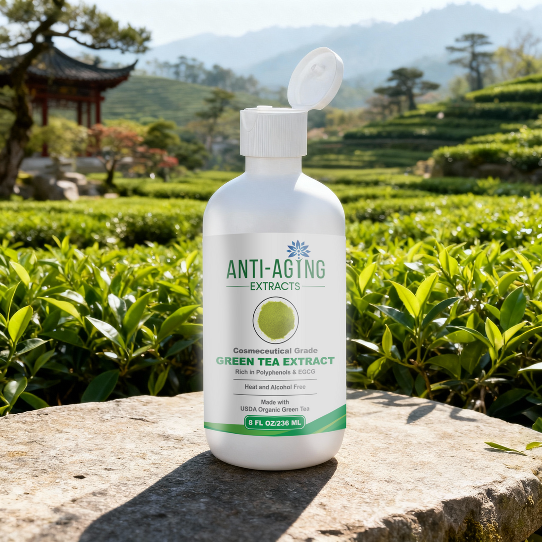 Green Tea Extract – Small-Batch, Proprietary Cold-Processed Antioxidant for Skin & Hair Care